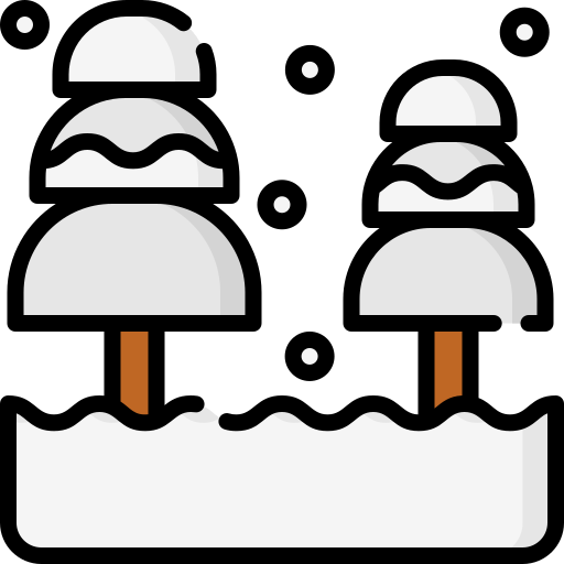 Winter Special Lineal color icon