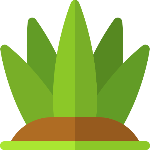 Aloe vera Basic Rounded Flat icon