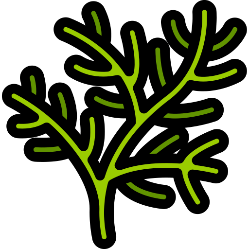 dill Generic Outline Color icon