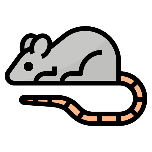 maus Aphiradee (monkik) Lineal Color icon