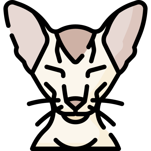 猫 Special Lineal color icon