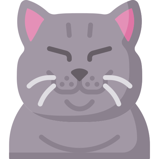 猫 Special Flat icon