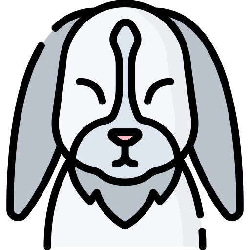 うさぎ Special Lineal color icon