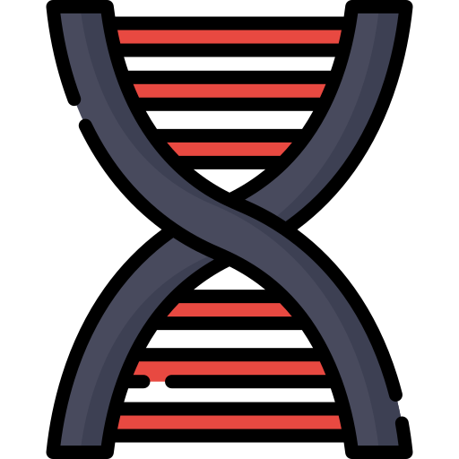 dna Special Lineal color icon