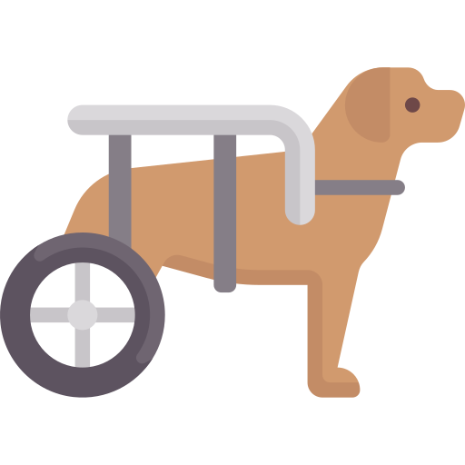 Dog Special Flat icon