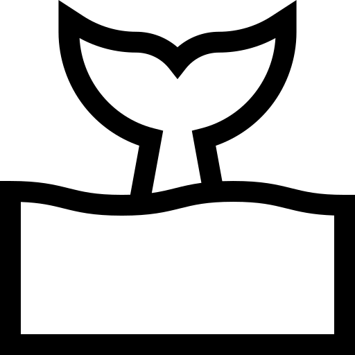 wieloryb Basic Straight Lineal ikona