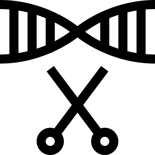 dna Basic Straight Lineal icona