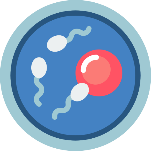 Ivf Basic Miscellany Flat icon