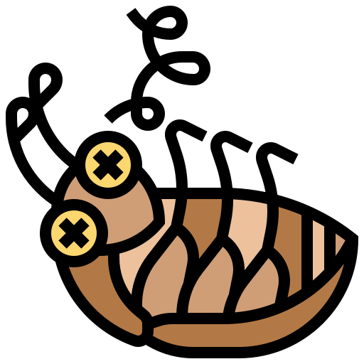 Cockroach Meticulous Lineal Color icon