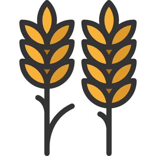 Wheat Special Lineal color icon