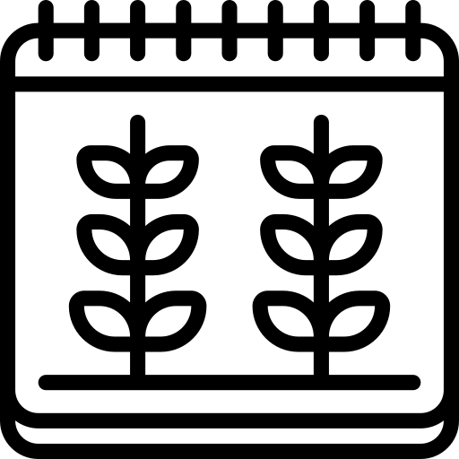 date Basic Miscellany Lineal Icône