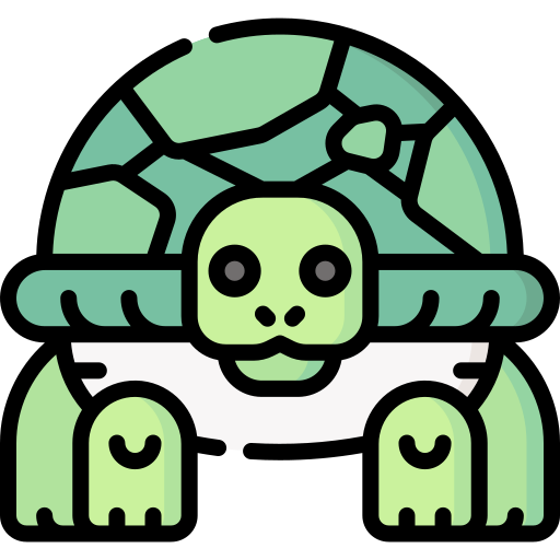 Turtle Special Lineal color icon