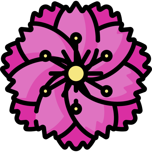 blume Special Lineal color icon