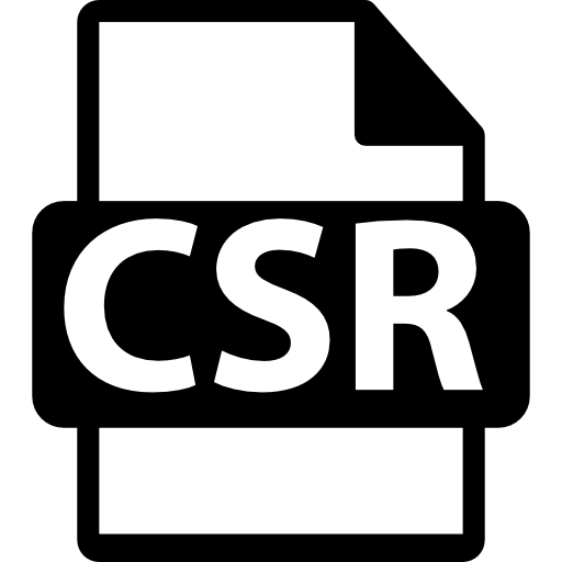 variante de format de fichier csr  Icône