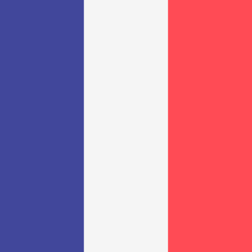 France Flags Square icon