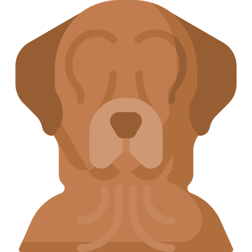 Golden retriever Special Flat icon