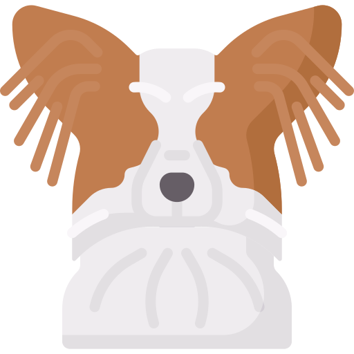 Papillon Special Flat icon