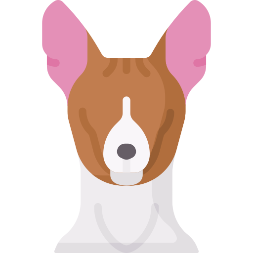 Basenji Special Flat icon