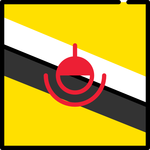 브루나이 Flags Square icon