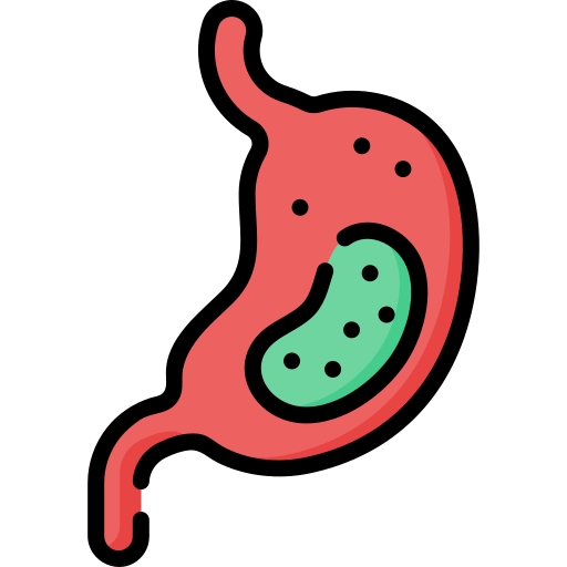 organ Special Lineal color icon