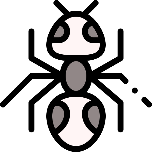 Ant Detailed Rounded Lineal color icon