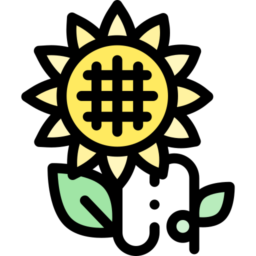 Sunflower Detailed Rounded Lineal color icon