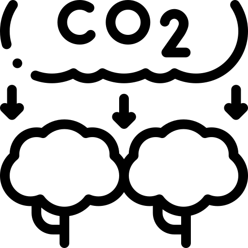 co2 Detailed Rounded Lineal Icône