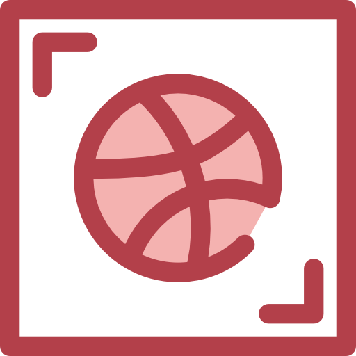 dribbble Monochrome Red icon