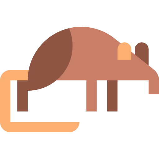 spitzmaus Basic Straight Flat icon