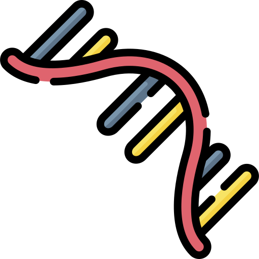 Rna Special Lineal color icon