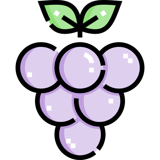 Grape Detailed Straight Lineal color icon