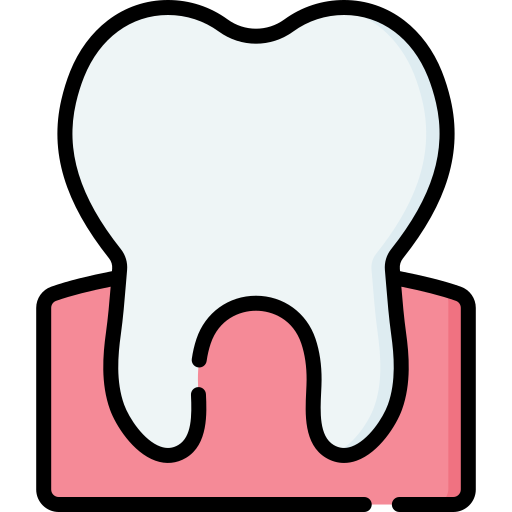 이 Special Lineal color icon