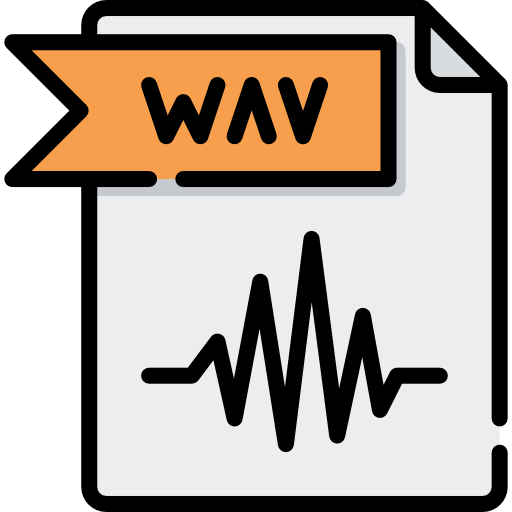 wav Special Lineal color icon