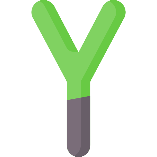 y. Special Flat icon