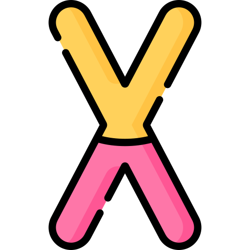 x. Special Lineal color icon