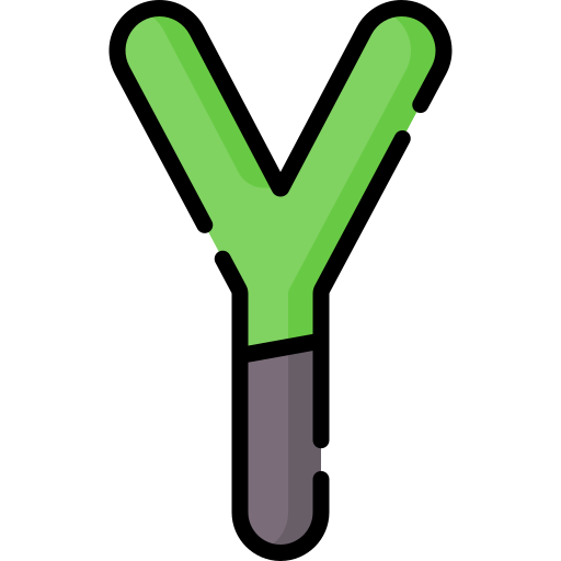 y. Special Lineal color icon