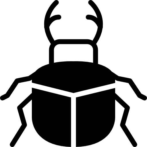 Beetle Basic Miscellany Fill icon