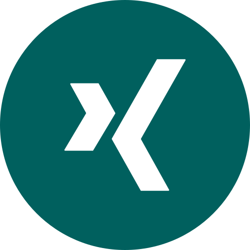 xing Generic Flat Ícone