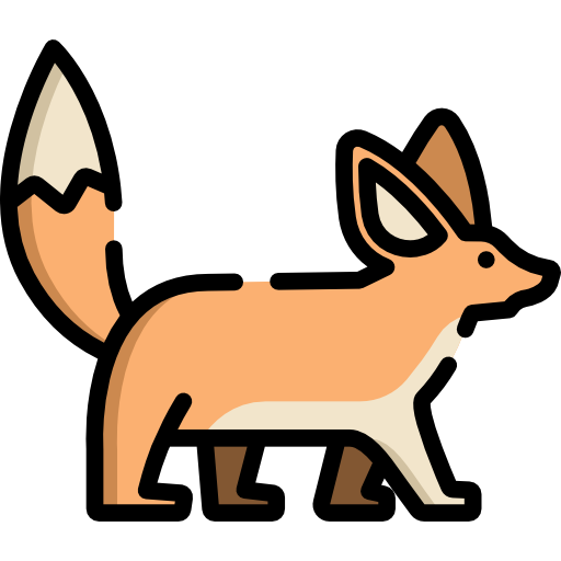 Fennec Special Lineal color icon