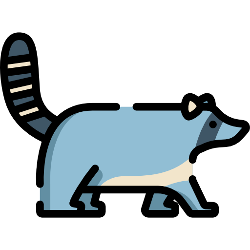 Racoon Special Lineal color icon