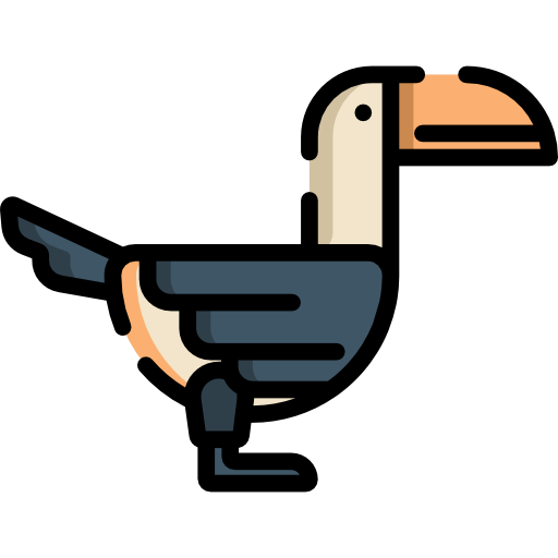 Toucan Special Lineal color icon