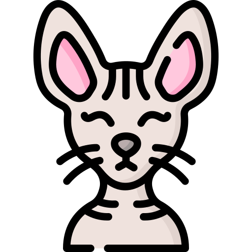 猫 Special Lineal color icon