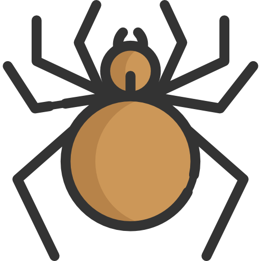 Spider Special Lineal color icon