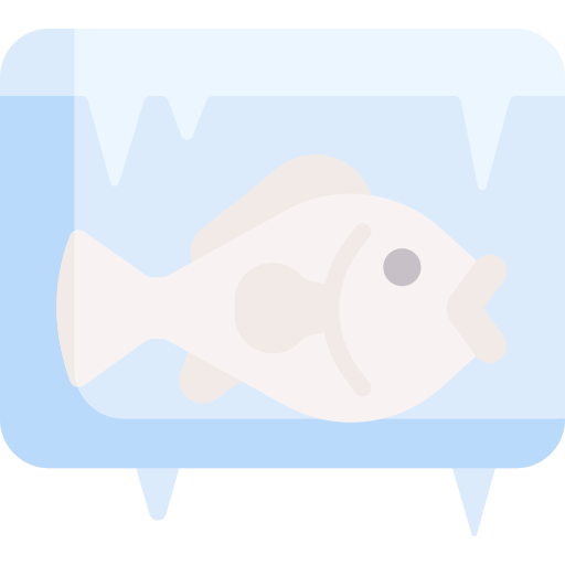 fisch Special Flat icon