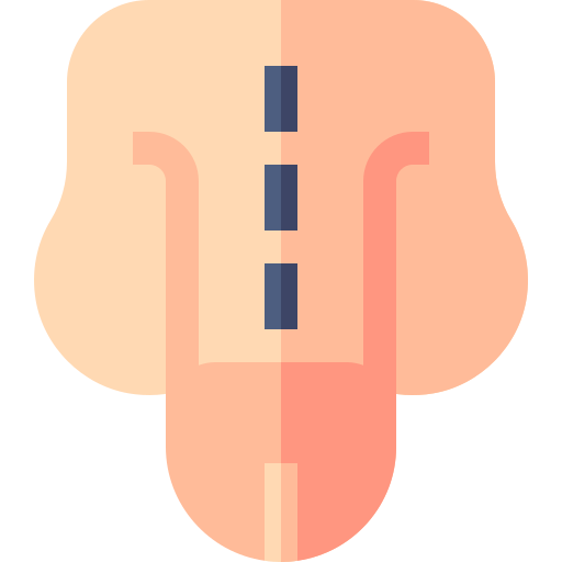 penis Basic Straight Flat icon