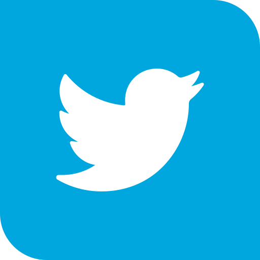 Twitter Generic Flat icon