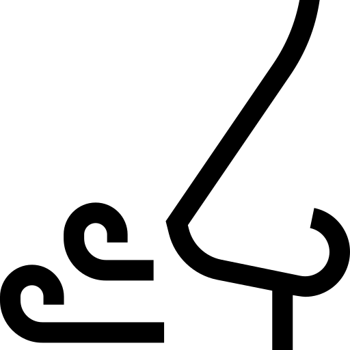 inademen Basic Straight Lineal icoon