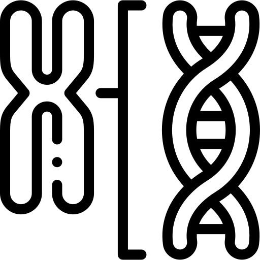 cromossoma Detailed Rounded Lineal Ícone