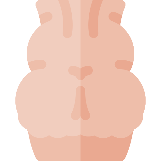 celulite Basic Rounded Flat Ícone