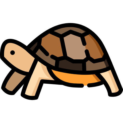 schildkröte Special Lineal color icon